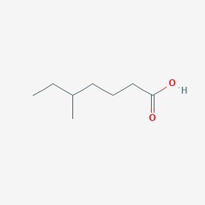 molecular formula C8H16O2 B086555 5-Methylheptanoic acid CAS No. 1070-68-4
