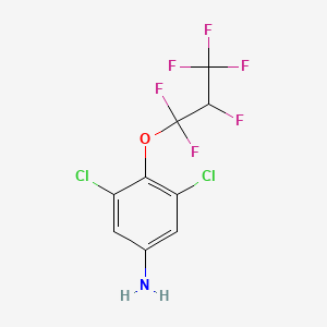 3,5-Dichloro-4-(1,1,2,3,3,3-hexafluoropropoxy)aniline