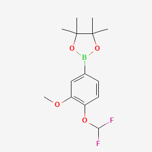 2-(4-(Difluoromethoxy)-3-methoxyphenyl)-4,4,5,5-tetramethyl-1,3,2-dioxaborolane