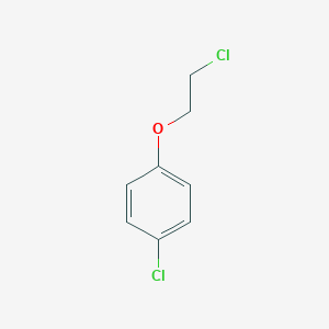molecular formula C8H8Cl2O B086679 1-氯-4-(2-氯乙氧基)苯 CAS No. 13001-28-0