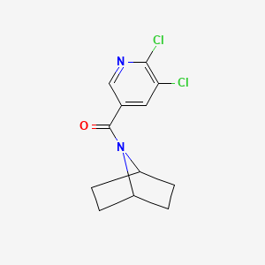 (7-Azabicyclo[2.2.1]heptan-7-yl)(5,6-dichloropyridin-3-yl)methanone