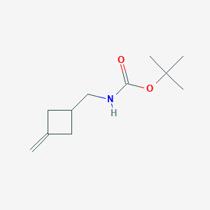 molecular formula C11H19NO2 B8671960 tert-butyl N-[(3-methylidenecyclobutyl)methyl]carbamate 