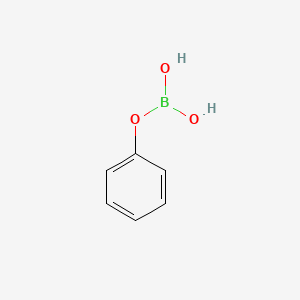 B8687010 Phenyl dihydrogen orthoborate CAS No. 4688-74-8