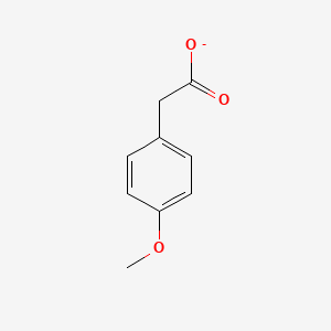 molecular formula C9H9O3- B8689602 4-Methoxyphenylacetate 