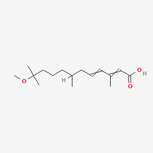 11-Methoxy-3,7,11-trimethyldodeca-2,4-dienoic acid