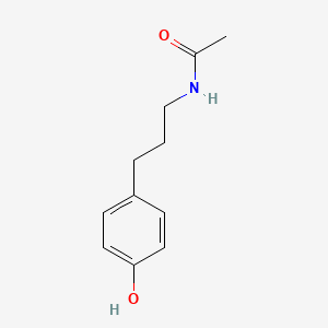 molecular formula C11H15NO2 B8694731 N-[3-(4-Hydroxyphenyl)propyl]acetamide 