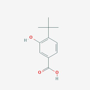 molecular formula C11H14O3 B8694949 4-Tert-butyl-3-hydroxybenzoic acid 