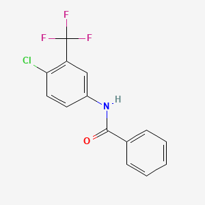 molecular formula C14H9ClF3NO B8695064 N-[4-chloro-3-(trifluoromethyl)phenyl]benzamide 