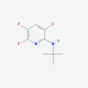 molecular formula C9H11F3N2 B8700259 N-(tert-butyl)-3,5,6-trifluoropyridin-2-amine 