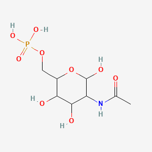 molecular formula C8H16NO9P B8701824 DISODIUM ACETYL GLUCOSAMINE PHOSPHATE 