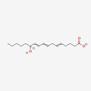molecular formula C17H28O3 B8705544 12-Hydroxy-5,8,10-heptadecatrienoic acid 