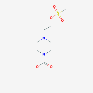 molecular formula C12H24N2O5S B8707496 tert-butyl 4-(2-methylsulfonyloxyethyl)piperazine-1-carboxylate 