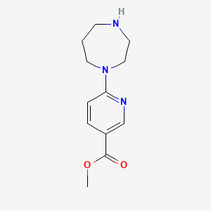 molecular formula C12H17N3O2 B8707806 Methyl 6-(1,4-diazepan-1-yl)nicotinate CAS No. 132521-77-8