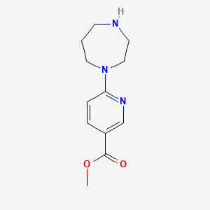 Methyl 6-(1,4-diazepan-1-yl)nicotinate