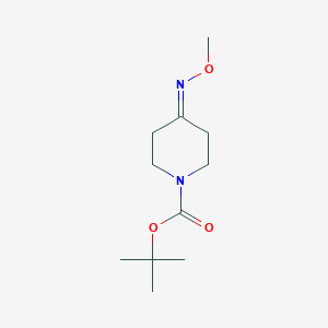 4-Methoxyimino-piperidine-1-carboxylic Acid Tert-butyl Ester