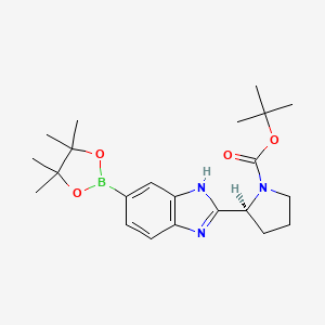 (S)-tert-butyl 2-(6-(4,4,5,5-tetramethyl-1,3,2-dioxaborolan-2-yl)-1H-benzo[d]imidazol-2-yl)pyrrolidine-1-carboxylate