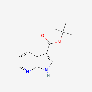 molecular formula C13H16N2O2 B8730168 tert-Butyl 2-methyl-1H-pyrrolo[2,3-b]pyridine-3-carboxylate 