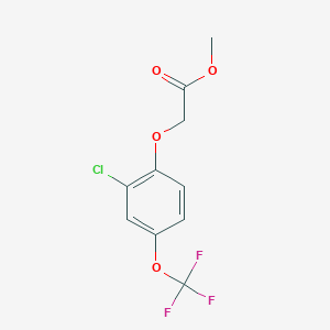 Methyl [2-chloro-4-(trifluoromethoxy)phenoxy]acetate