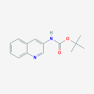 molecular formula C14H16N2O2 B8738396 Tert-butyl quinolin-3-ylcarbamate 