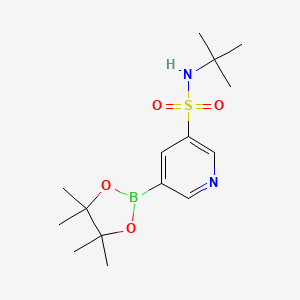 molecular formula C15H25BN2O4S B8741891 N-(tert-Butyl)-5-(4,4,5,5-tetramethyl-1,3,2-dioxaborolan-2-yl)pyridine-3-sulfonamide 