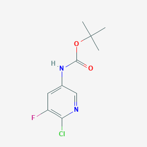 molecular formula C10H12ClFN2O2 B8759036 Tert-butyl (6-chloro-5-fluoropyridin-3-yl)carbamate 