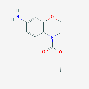 molecular formula C13H18N2O3 B8763078 tert-Butyl 7-amino-2H-benzo[b][1,4]oxazine-4(3H)-carboxylate 