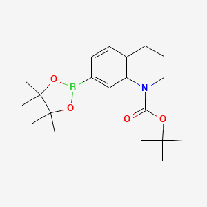 molecular formula C20H30BNO4 B8782661 tert-butyl 7-(4,4,5,5-tetramethyl-1,3,2-dioxaborolan-2-yl)-3,4-dihydroquinoline-1(2H)-carboxylate 