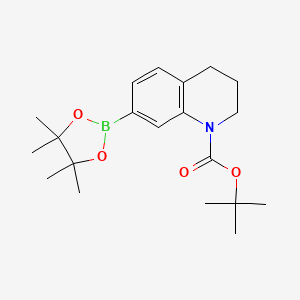 tert-butyl 7-(4,4,5,5-tetramethyl-1,3,2-dioxaborolan-2-yl)-3,4-dihydroquinoline-1(2H)-carboxylate