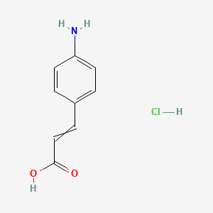 molecular formula C9H10ClNO2 B8783508 4-Aminocinnamic acid hydrochloride 