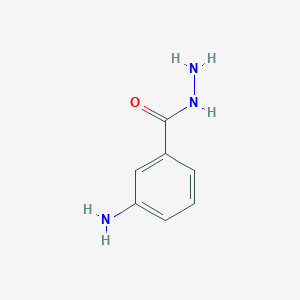 molecular formula C7H9N3O B087874 3-Aminobenzhydrazide CAS No. 14062-34-1