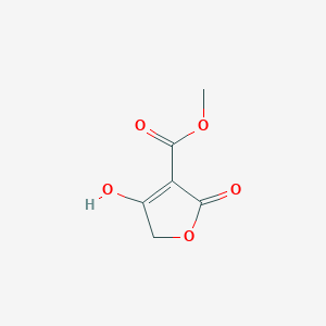 molecular formula C6H6O5 B8788782 Methyl 4-hydroxy-2-oxo-2,5-dihydrofuran-3-carboxylate CAS No. 78376-09-7