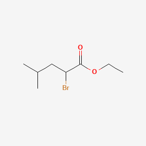 molecular formula C8H15BrO2 B8792195 Ethyl 2-bromo-4-methylpentanoate 