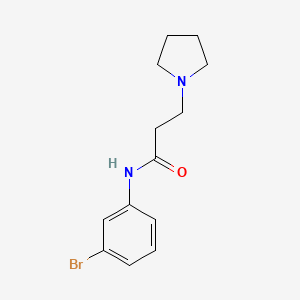 N-(3-bromophenyl)-3-pyrrolidin-1-ylpropanamide