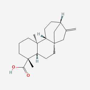 molecular formula C20H30O2 B8796600 Kaurenoic acid CAS No. 1481688-54-3