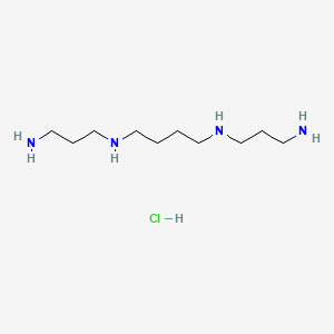B8799920 Spermine hydrochloride CAS No. 29605-46-7
