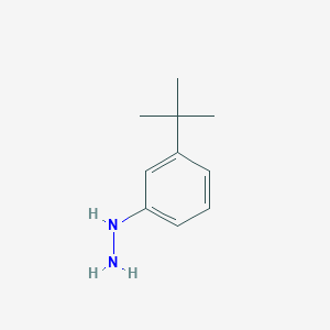 (3-Tert-butylphenyl)hydrazine