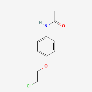 molecular formula C10H12ClNO2 B8804318 N-[4-(2-chloroethoxy)phenyl]acetamide CAS No. 36616-28-1