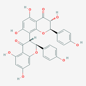 molecular formula C30H22O11 B088045 (2R,3R)-8-[(2S,3R)-5,7-dihydroxy-2-(4-hydroxyphenyl)-4-oxo-2,3-dihydrochromen-3-yl]-3,5,7-trihydroxy-2-(4-hydroxyphenyl)-2,3-dihydrochromen-4-one CAS No. 14736-58-4