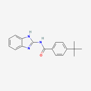 N-(1H-benzimidazol-2-yl)-4-tert-butylbenzamide