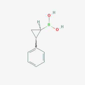 molecular formula C9H11BO2 B8808172 trans-2-Phenylcyclopropylboronic acid CAS No. 217634-41-8