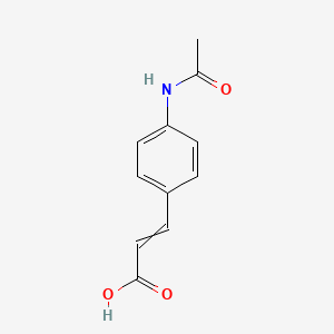 molecular formula C11H11NO3 B8813372 3-(4-Acetamidophenyl)prop-2-enoic acid 