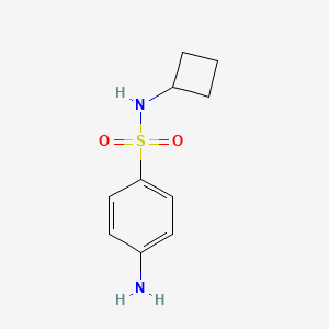 molecular formula C10H14N2O2S B8813895 Benzenesulfonamide, 4-amino-N-cyclobutyl- 