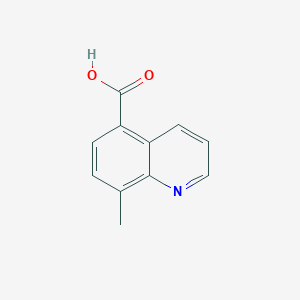 molecular formula C11H9NO2 B8814824 8-Methylquinoline-5-carboxylic acid CAS No. 74316-52-2