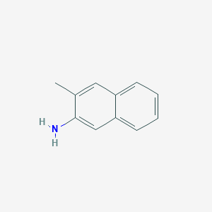 molecular formula C11H11N B088498 3-methylnaphthalen-2-amine CAS No. 10546-24-4