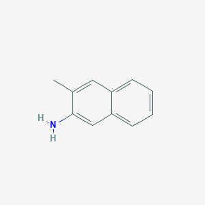 molecular formula C11H11N B088498 3-Methyl-2-naphthylamine CAS No. 10546-24-4