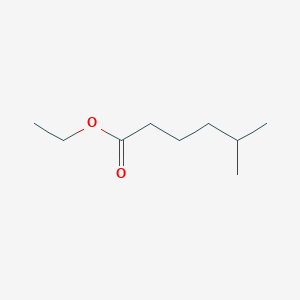 molecular formula C9H18O2 B088932 Ethyl 5-methylhexanoate CAS No. 10236-10-9