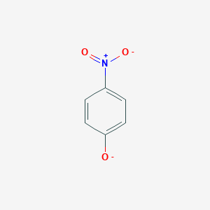 molecular formula C6H4NO3- B089219 4-Nitrophenolate CAS No. 14609-74-6