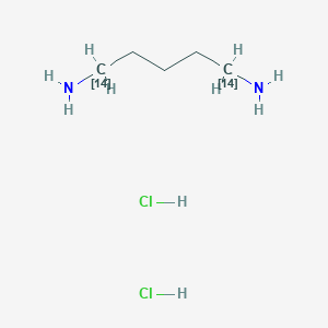 molecular formula C5H16Cl2N2 B089242 (1,5-14C2)Pentane-1,5-diamine;dihydrochloride CAS No. 10581-69-8
