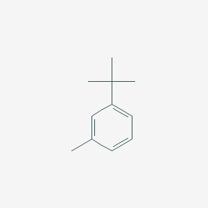 molecular formula C11H16 B089660 3-tert-Butyltoluene CAS No. 1075-38-3