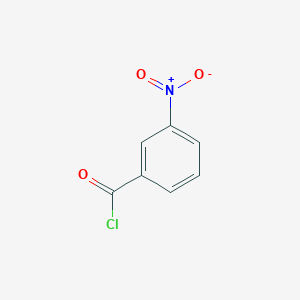 molecular formula C7H4ClNO3 B089680 3-硝基苯甲酰氯 CAS No. 121-90-4